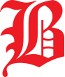 Logo Baumgarten Camisas