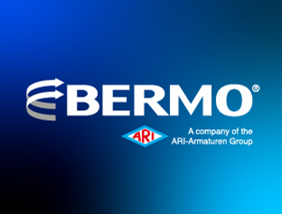 Logo da empresa Bermo, vaga Assistente de Vendas Blumenau