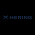 Logo da empresa Hering Store Norte Shopping, vaga Vendedor(a) Loja Hering - Norte Shopping Blumenau