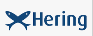 Logo da empresa Hering Store, vaga Vendedora Blumenau