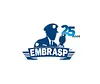 Logotipo da empresa Embrasp, vaga Vigilante Balneário Piçarras
